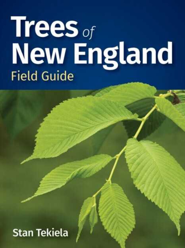 Trees of New England Field Guide