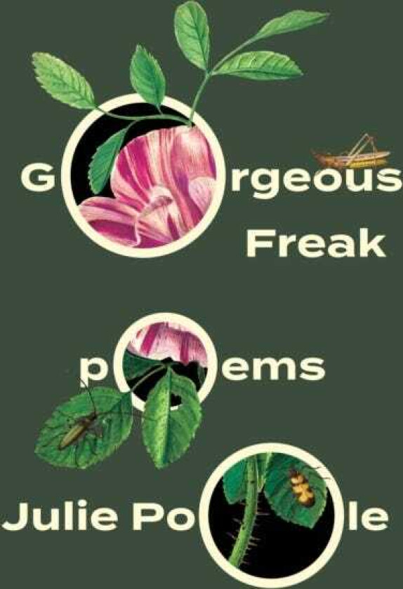 Gorgeous Freak