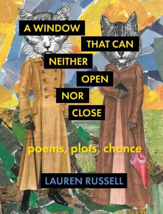 A Window That Can Neither Open Nor Close Poems, Plots, Chance