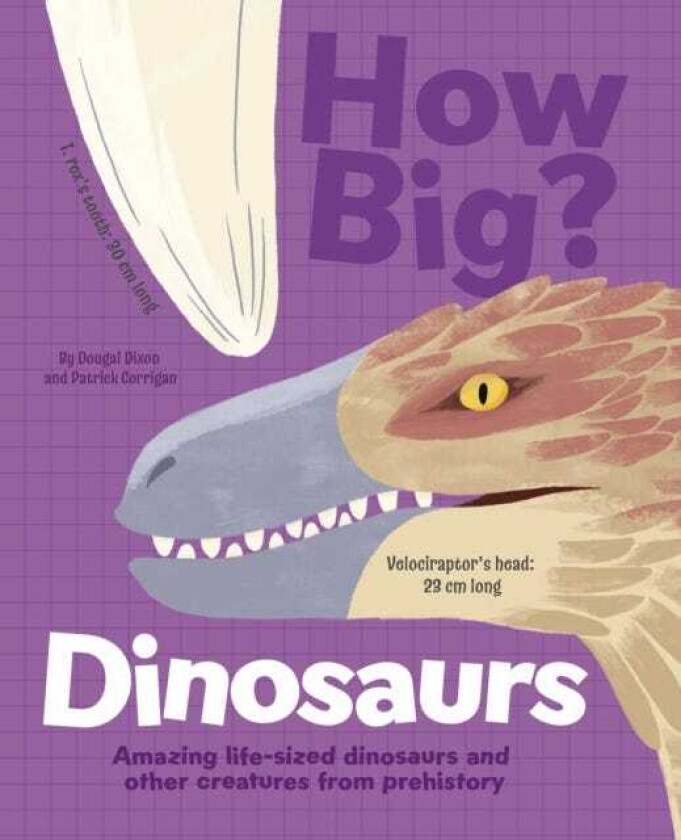 How Big? Dinosaurs Amazing LifeSized Dinosaurs and Other Creatures from Prehistory