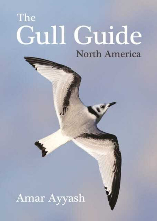 The Gull Guide North America