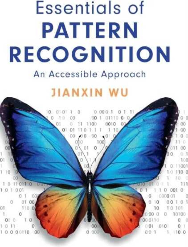 Essentials of Pattern Recognition An Accessible Approach