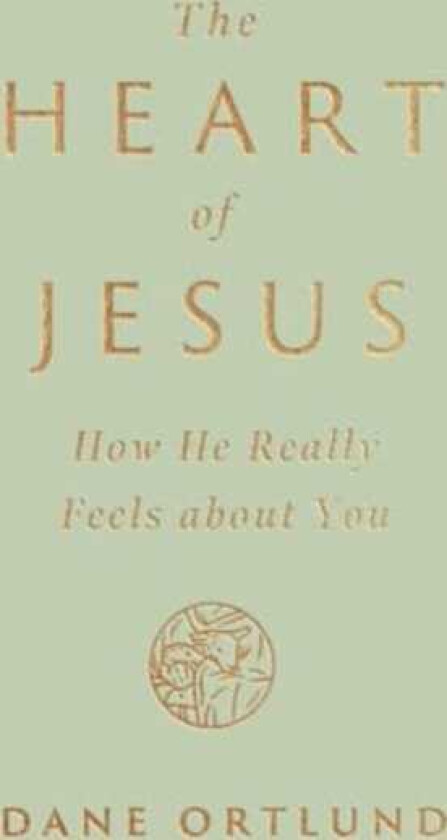 The Heart of Jesus How He Really Feels about You