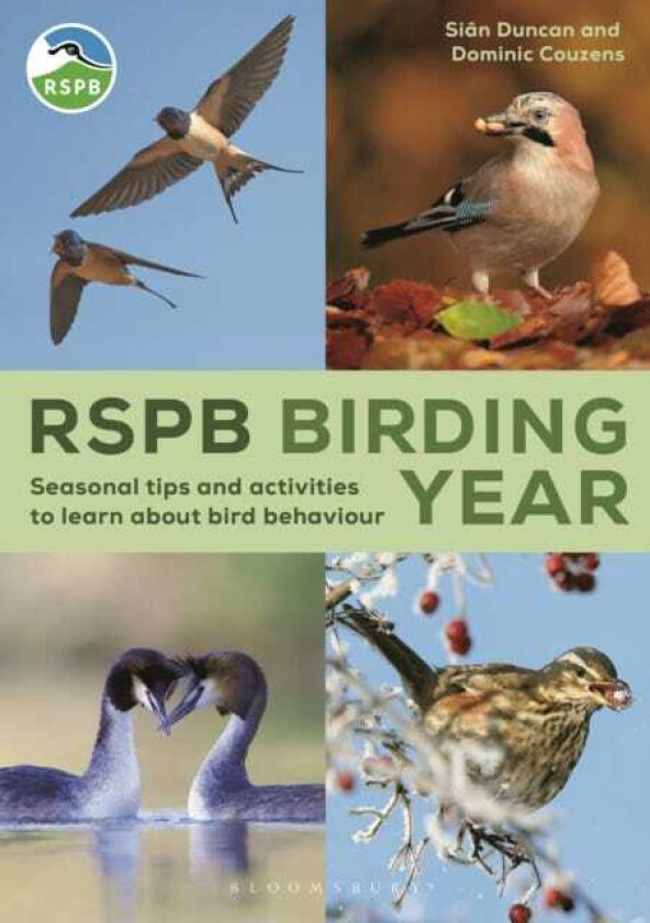 RSPB Birding Year Seasonal tips and activities to learn about bird behaviour