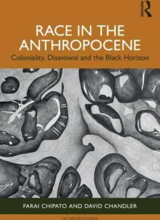 Race in the Anthropocene Coloniality, Disavowal and the Black Horizon