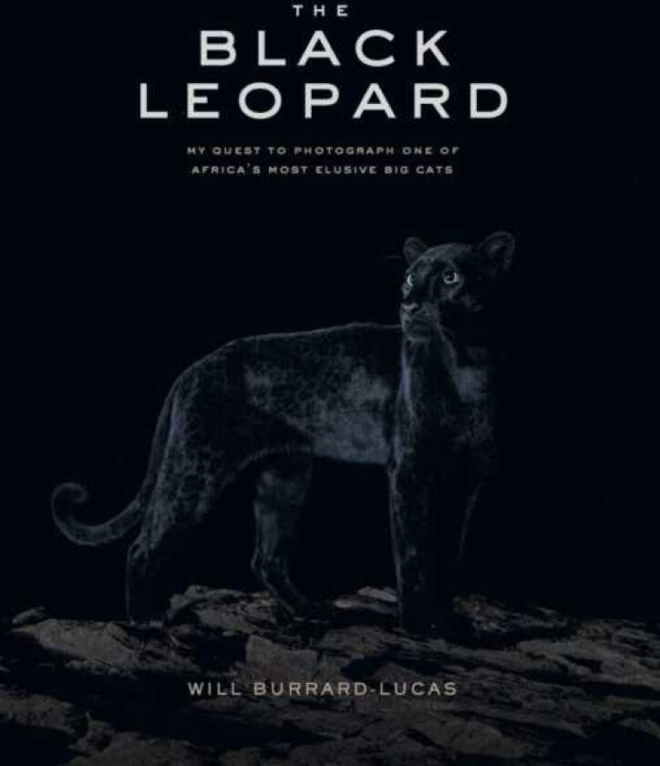 The Black Leopard My Quest to Photograph One of Africa's Most Elusive Big Cats