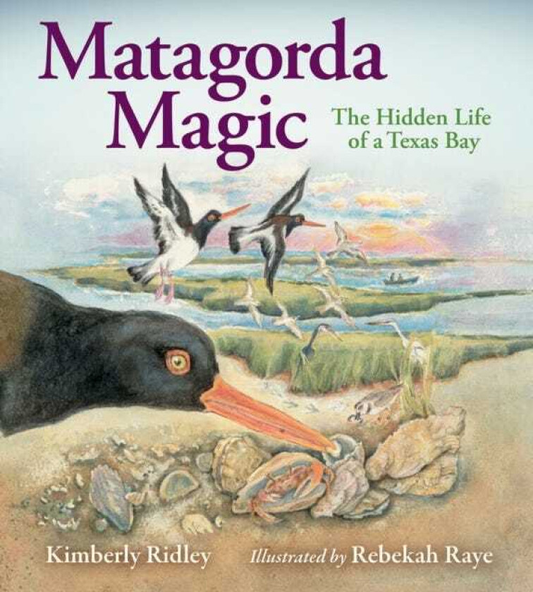 Matagorda Magic The Hidden Life of a Texas Bay