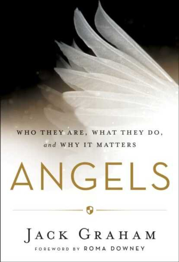 Angels – Who They Are, What They Do, and Why It Matters