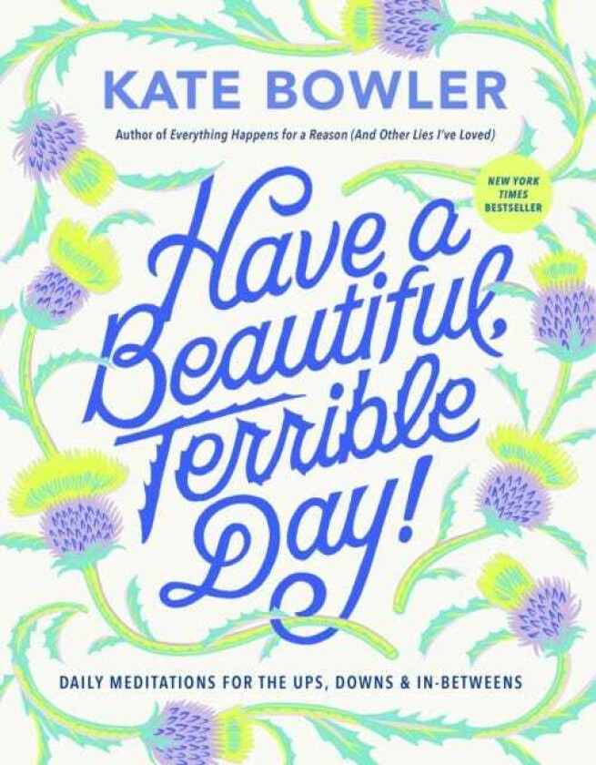 Have a Beautiful, Terrible Day! Daily Meditations for the Ups, Downs & InBetweens