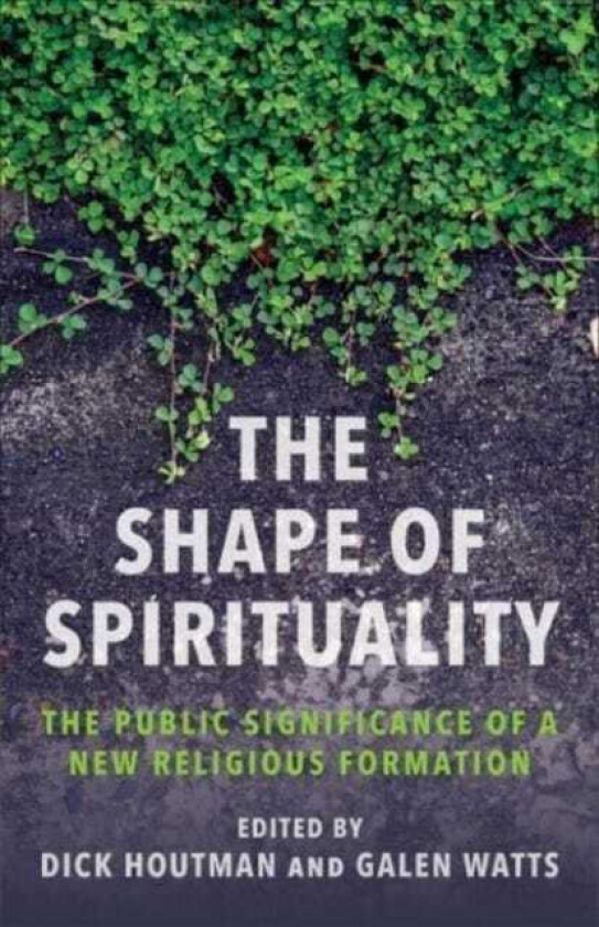 The Shape of Spirituality The Public Significance of a New Religious Formation
