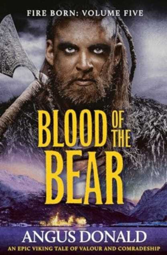 Blood of the Bear An epic Viking tale of valour and comradeship