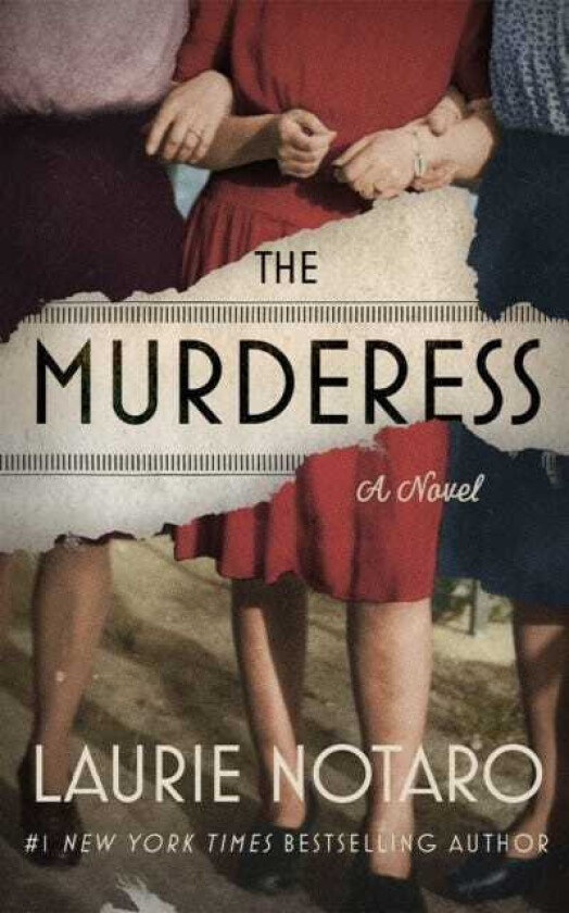 The Murderess A Novel