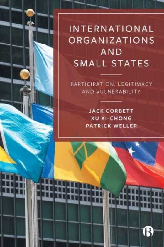 International Organizations and Small States Participation, Legitimacy and Vulnerability