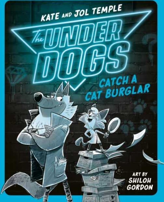 The Underdogs Catch a Cat Burglar