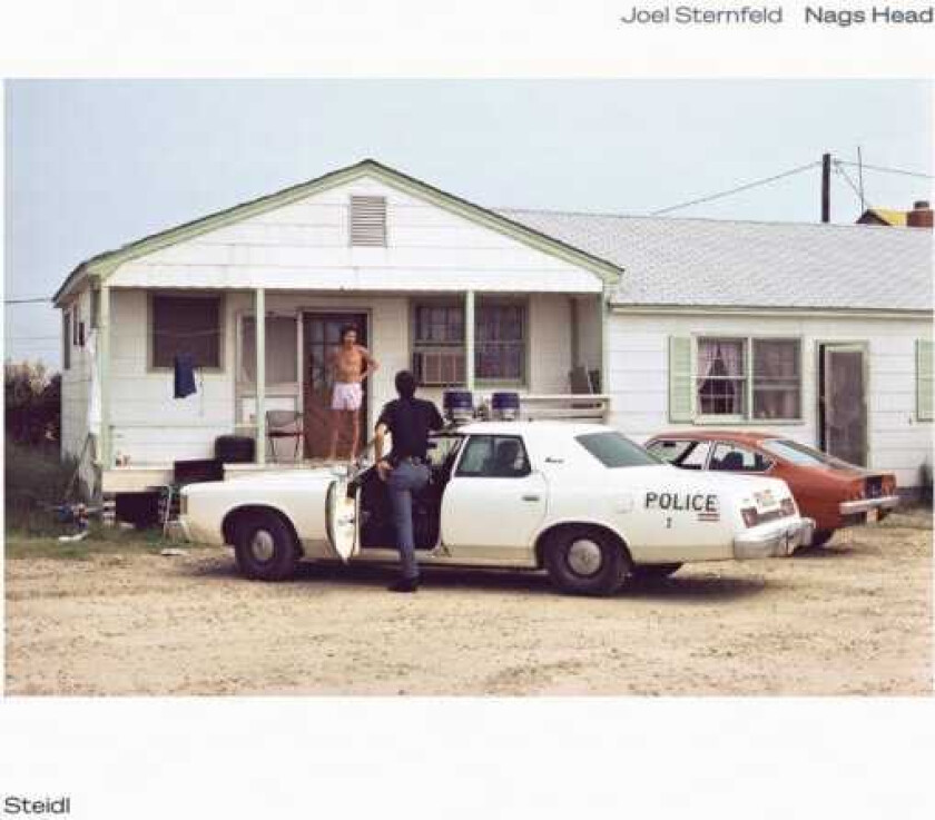 Joel Sternfeld: Nags Head