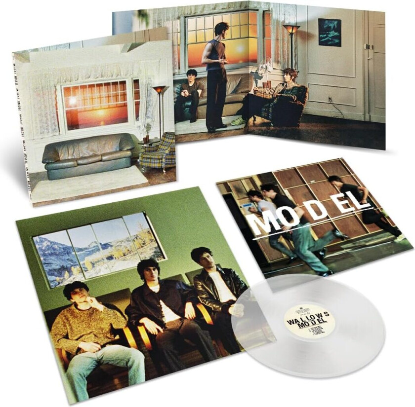 Wallows Model LP/Vinyl
