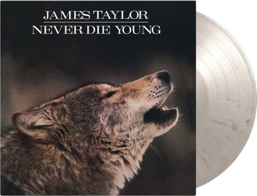 James Taylor Never Die Young LP/Vinyl