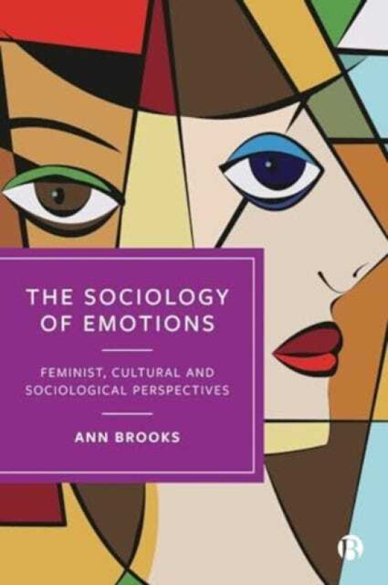The Sociology of Emotions  Feminist, Cultural and Sociological Perspectives