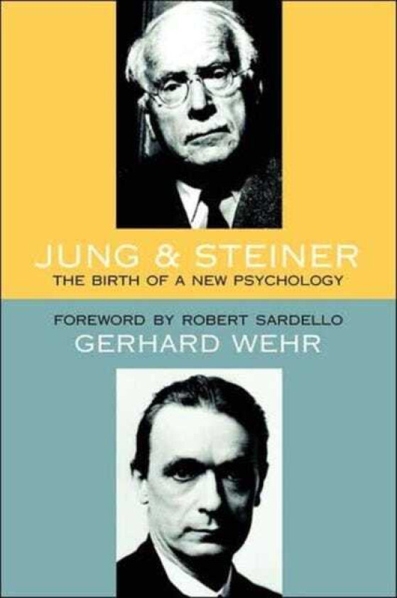 Jung and Steiner The Birth of a New Psychology
