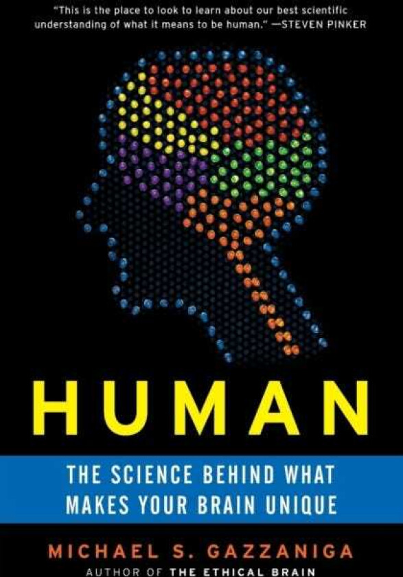 Human The Science Behind What Makes Your Brain Unique