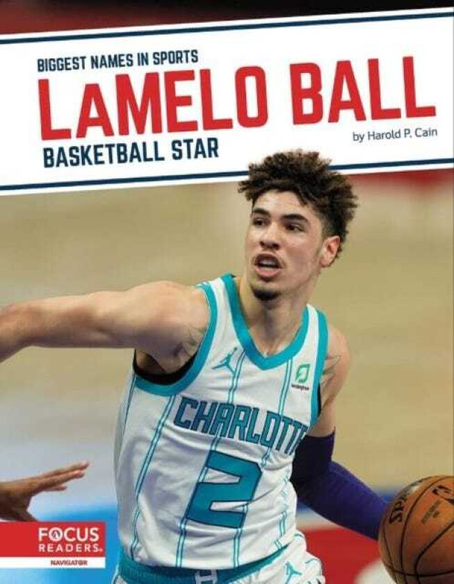 LaMelo Ball Basketball Star
