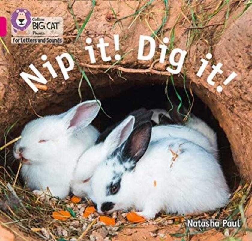 Nip it! Dig it! Band 01b/Pink B