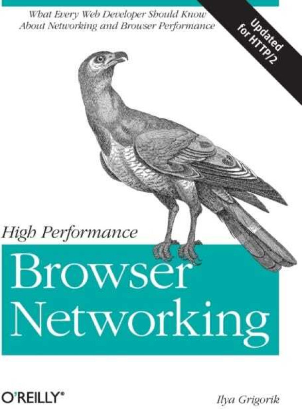 High Performance Browser Networking