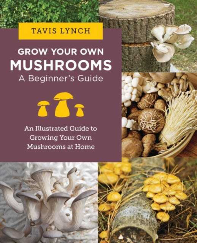Grow Your Own Mushrooms: A Beginner's Guide An Illustrated Guide to Cultivating Your Own Mushrooms at Home