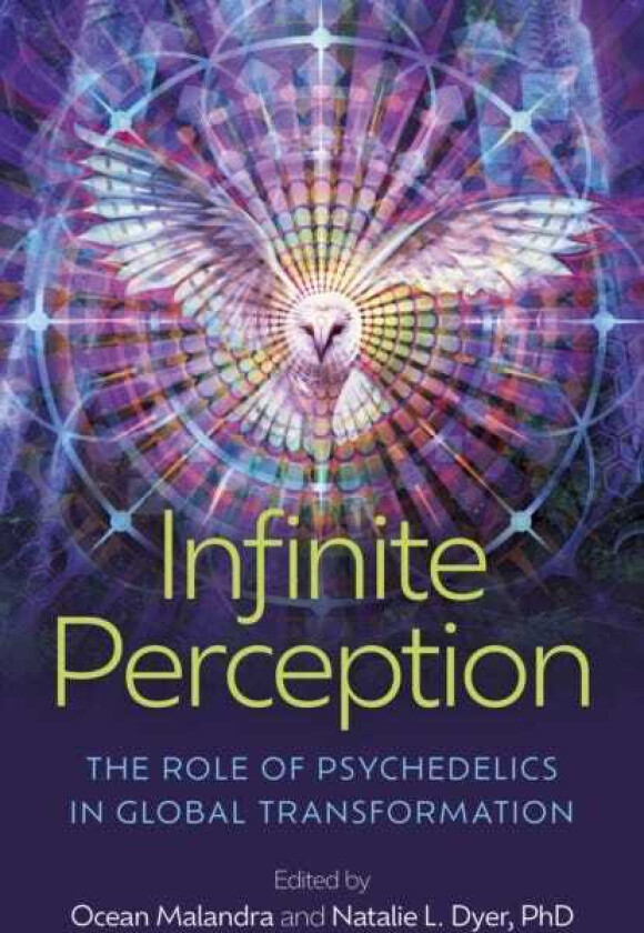 Infinite Perception  The Role of Psychedelics in Global Transformation