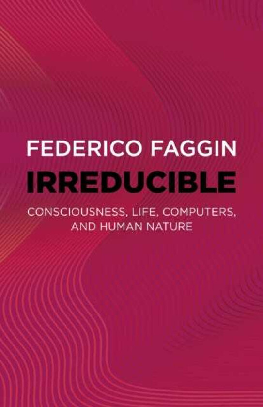 Irreducible Consciousness, Life, Computers, and Human Nature