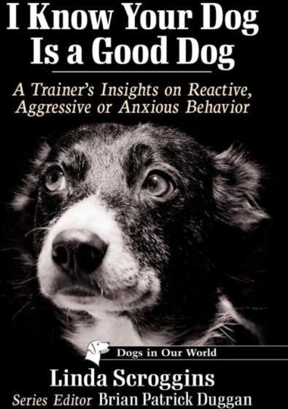 I Know Your Dog Is a Good Dog A Trainer's Insights on Reactive, Aggressive or Anxious Behavior