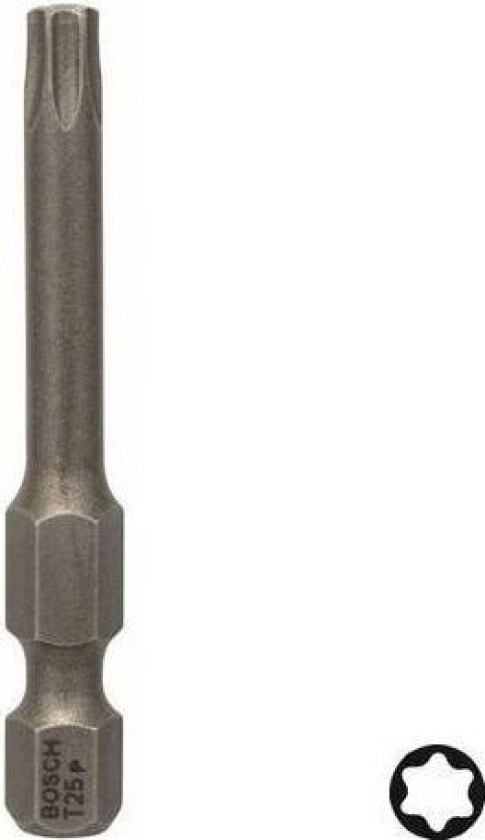 T25 Bits 1-pakn. 49 mm