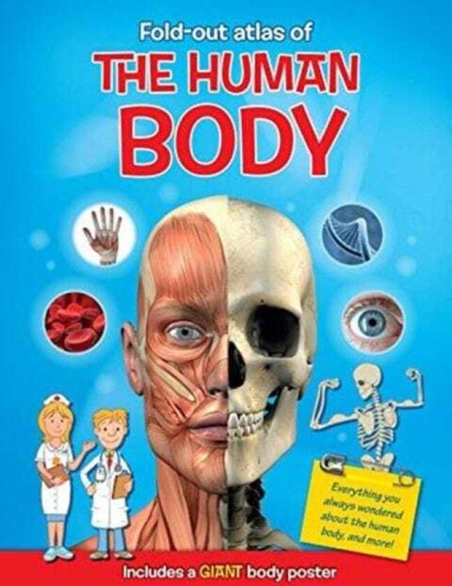 Human Body