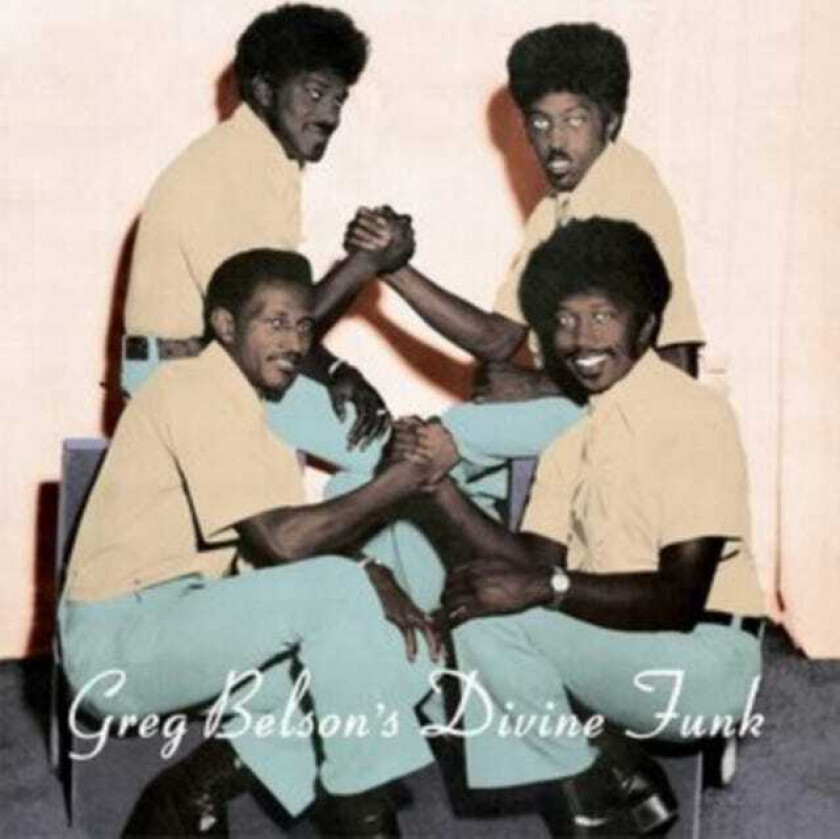 Diverse Artister, Greg Belson Greg Belson's Divine Funk CD