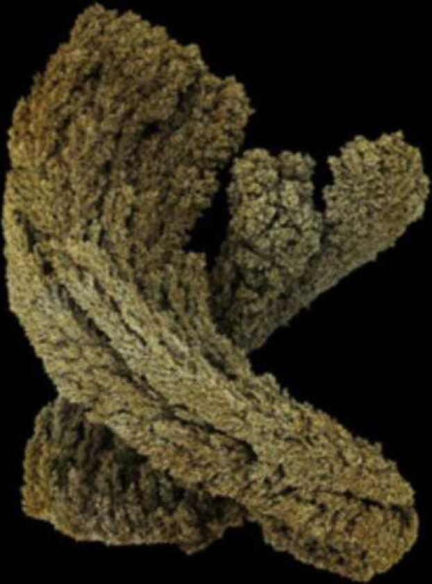 Max Cooper Emergence CD