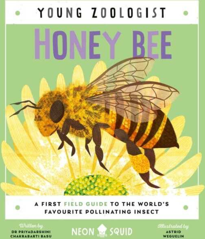 Honey Bee (Young Zoologist)  A First Field Guide to the World’s Favourite Pollinating Insect