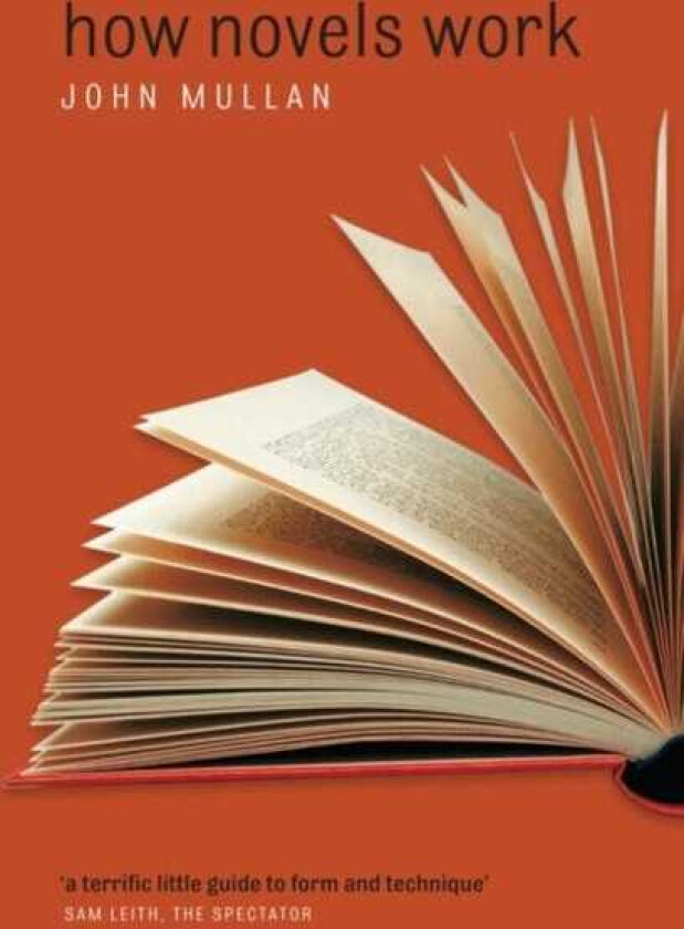 How Novels Work