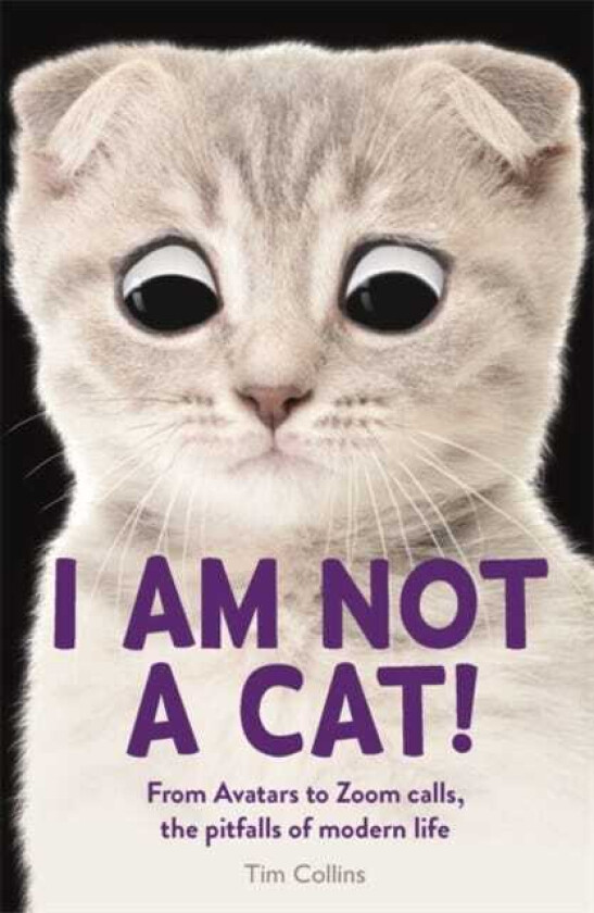 I Am Not a Cat!  From Avatars to Zoom Calls, the Pitfalls of Modern Life