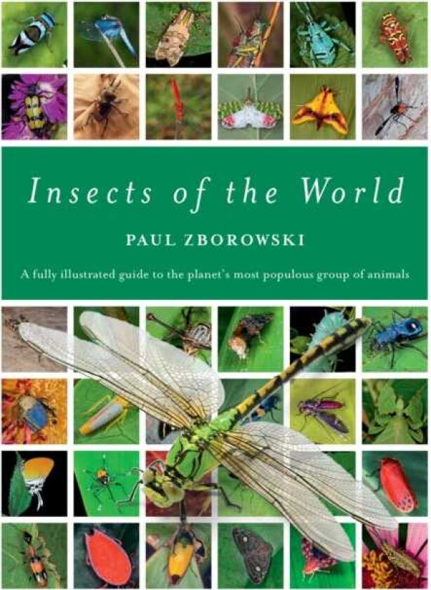 Insects of the World A fully illustrated guide to the planet's most populous group of animals