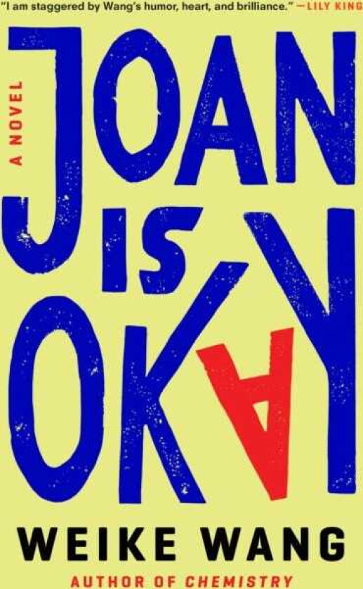 Joan Is Okay  A Novel