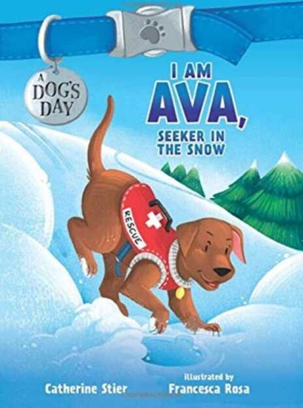 I AM AVA SEEKER IN THE SNOW