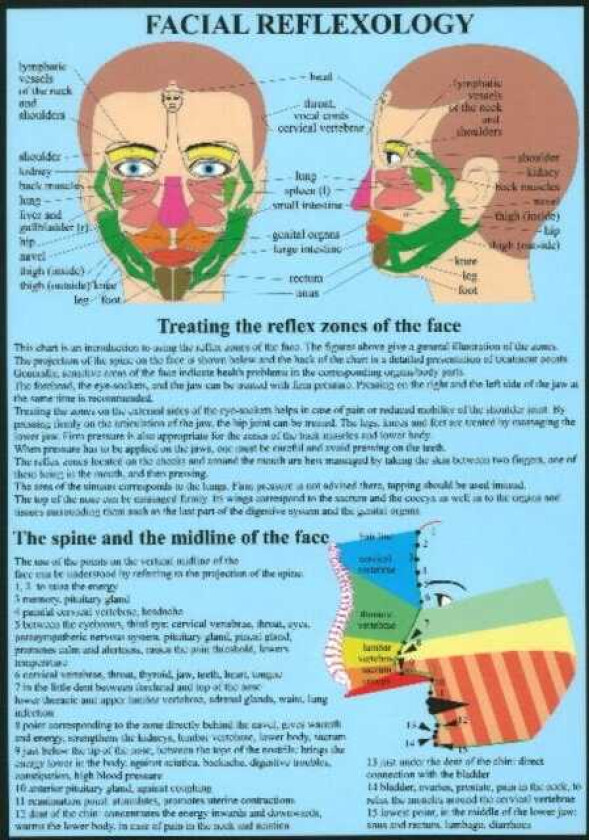 Facial Reflexology A4