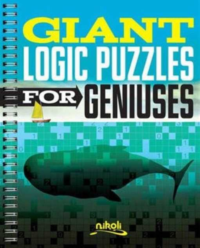 Giant Logic Puzzles for Geniuses