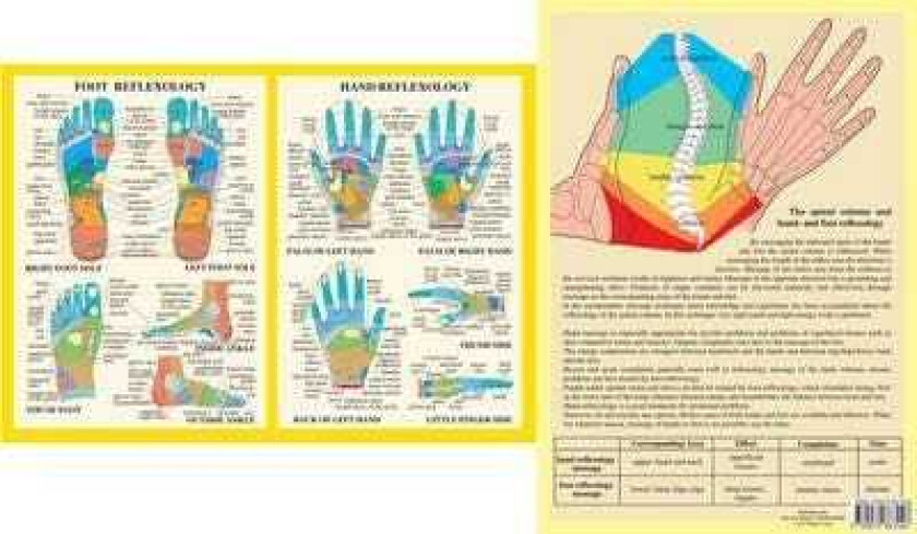 Hand & Foot Reflexology A4