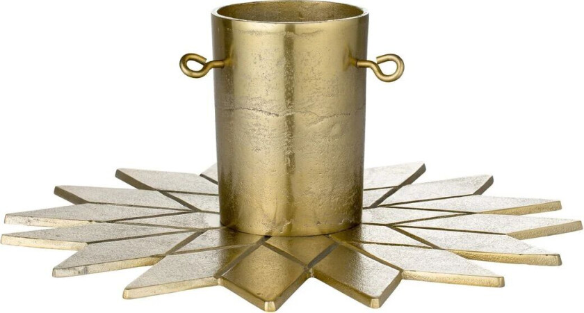 Cavia juletrefot Gull