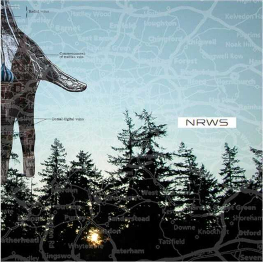 Narrows  New Distances  CD