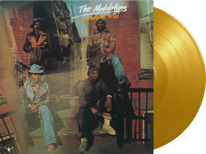 The Modulations It's Rough Out Here LP/Vinyl