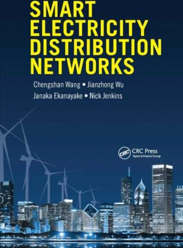 Smart Electricity Distribution Networks