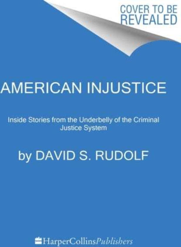 American Injustice One Lawyer's Fight to Protect the Rule of Law
