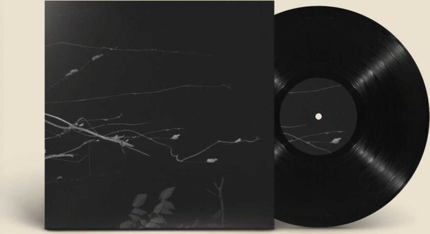 Eiko Ishibashi, Jim O’Rourke, Tatsuhisa Yamamoto, Kei Matsumaru, Giovanni Di Domenico Sakuraza LP/Vinyl